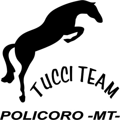 TUCCI logo
