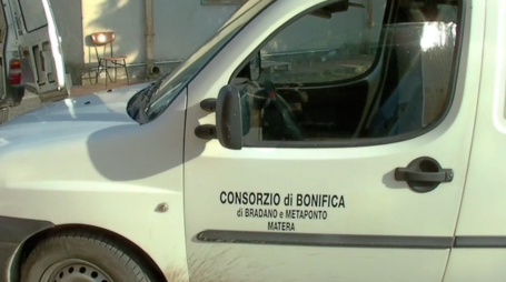 Consorzio