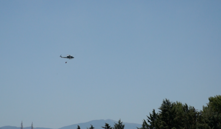 elicottero guardia forestale