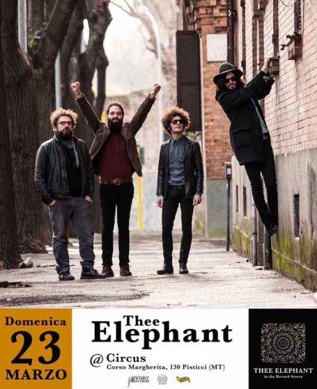 thee_elephant_ at_circus