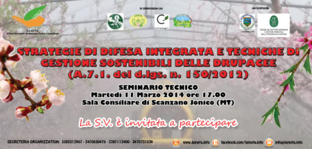 web_invito_seminario_11-03-2014