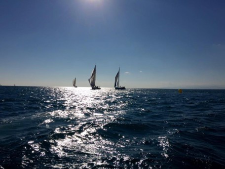 la regata di domenica scorsa agli argonauti