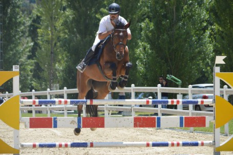 equitazione cavallo