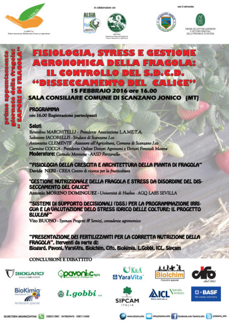 locandina incontro fragola 15 febbraio 2016