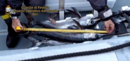 pesce sequestrato2