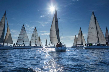 regata argonauti