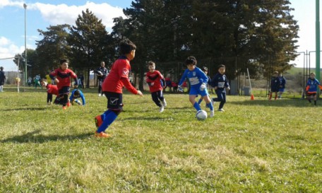 calcio memorial