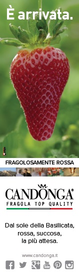 Segnalibro di Candonga Fragola Top Quality per Feltrinelli RED