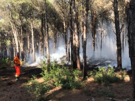 incendio metaponto