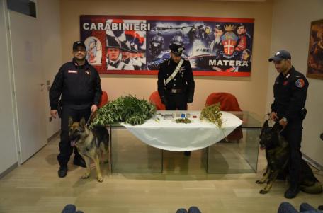 Carabinieri Cinofili 2