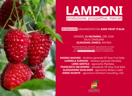 invito-workshop-lamponi-e-visita-siti-produttivi