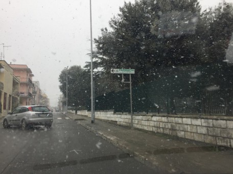 neve policoro