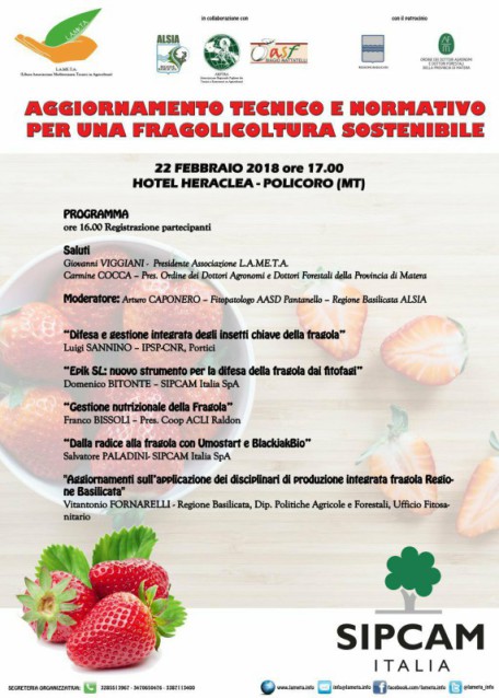 locandina fragola 22 febbr. 2018