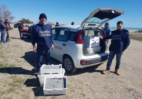 guardia-costiera-bianchetto