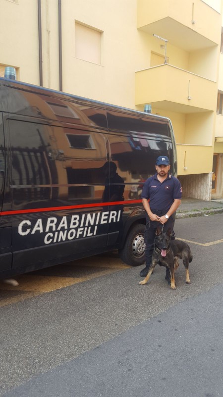 carabinieri cinofili