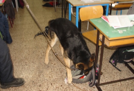 cane antidroga carabinieri scuola