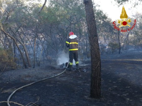 vigili del fuoco pineta