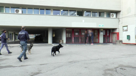 polizia scuola