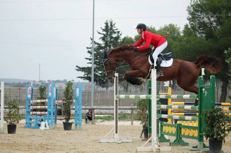 mancinelli equitazione