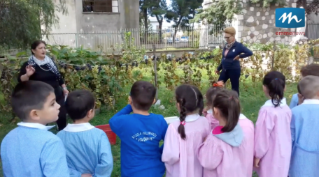 vendemmia scuola