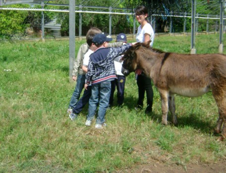 Fattorie didattiche_Asinello con bambini