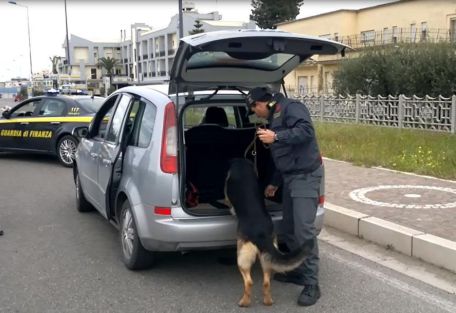 guardia di finanza scanzano