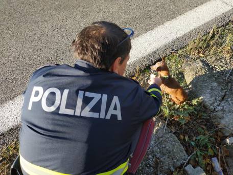 poliziotto salvataggio cane