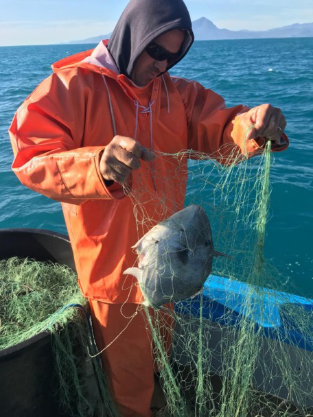 PESCATORE TIRRENO