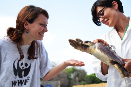 19_Caretta_Policoro WWF Rescue center