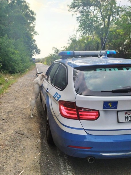 polizia cane soccorso