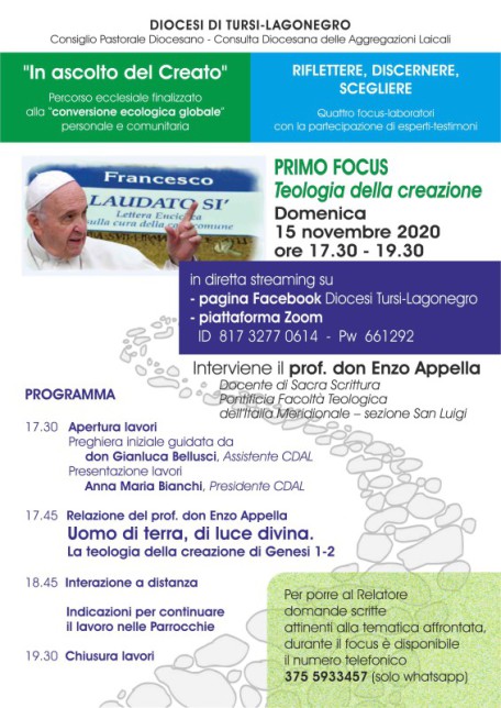 Primo Focus 15.11.2020