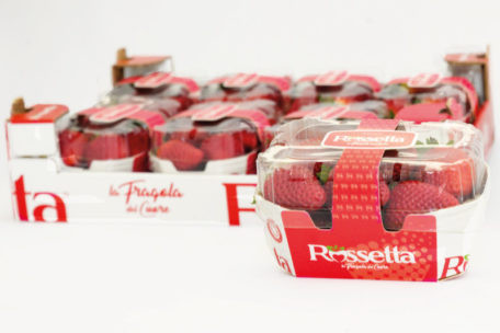 Rossetta packaging_